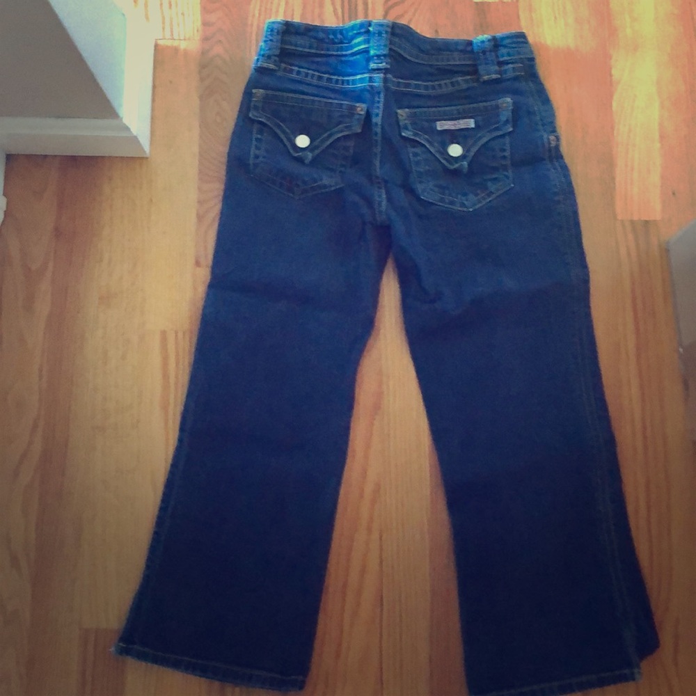 Hudson Capri pants